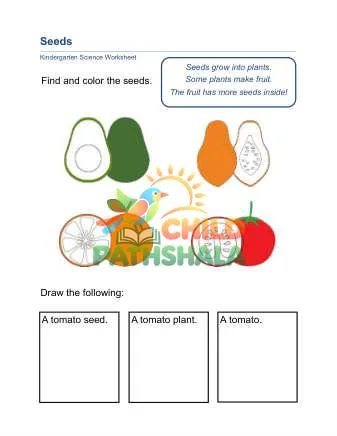 Preview of Seeds