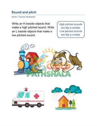 Sound Pitch B Worksheet for Grade 1