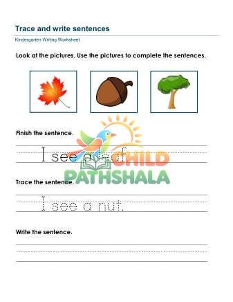 Preview of Write Sentences 5