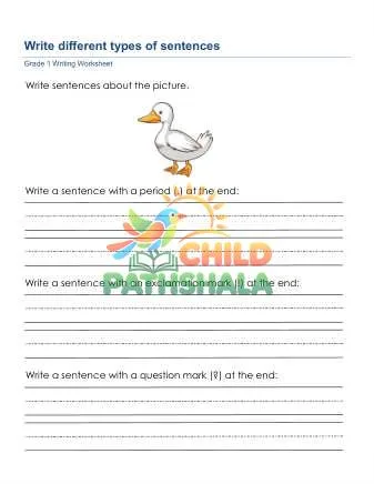 Preview of Write Sentences Types
