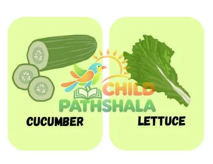 Preview of Vegetables