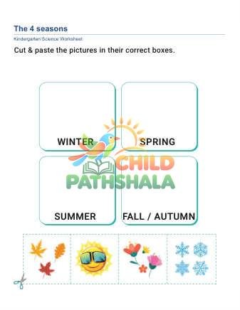 4 Seasons C