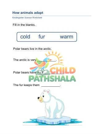 Preview of Animal Adaptation