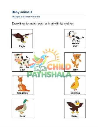 Preview of Animal Babies