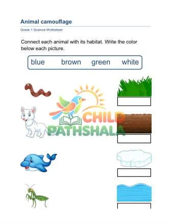 Preview of Animal Camouflage