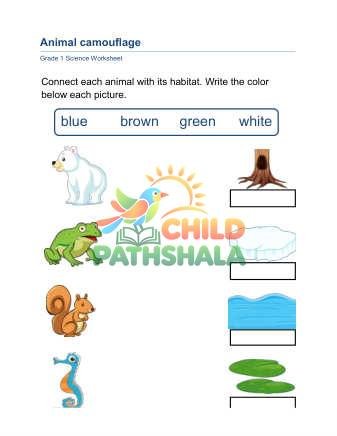 Animal Camouflage B