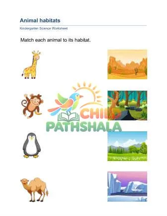 Preview of Animal Habitats