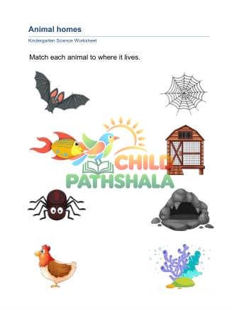 Preview of Animal Homes A Part 1