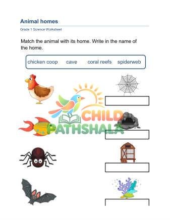 Preview of Animal Homes A