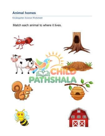 Preview of Animal Homes B Part 1