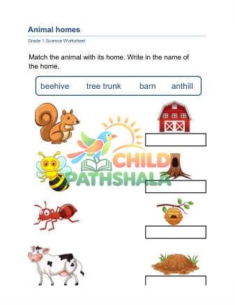 Preview of Animal Homes B
