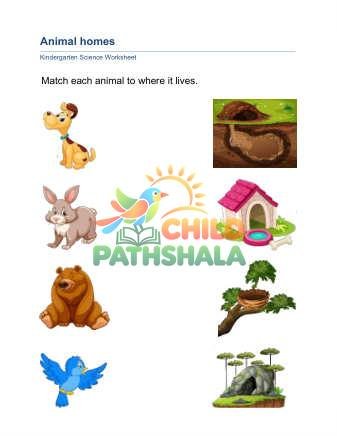 Preview of Animal Homes C