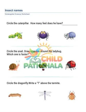 Animal Names