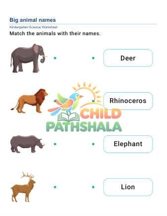 Preview of Animal Names D Part 1