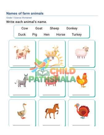 Preview of Animal Names E