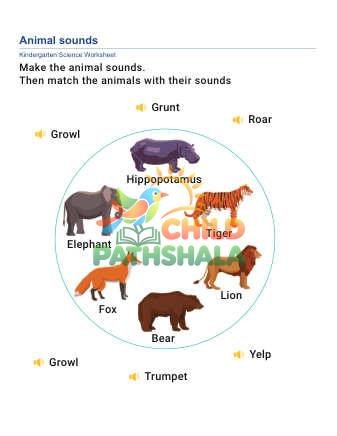 Preview of Animal Sounds A