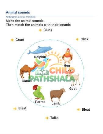 Preview of Animal Sounds B