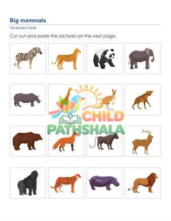 Preview of Animal Words