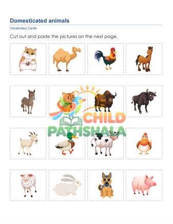Preview of Animal Words E