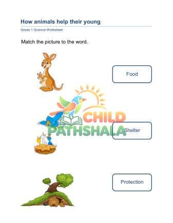 Preview of Animals Help Young A
