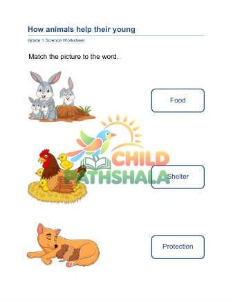 Preview of Animals Help Young B