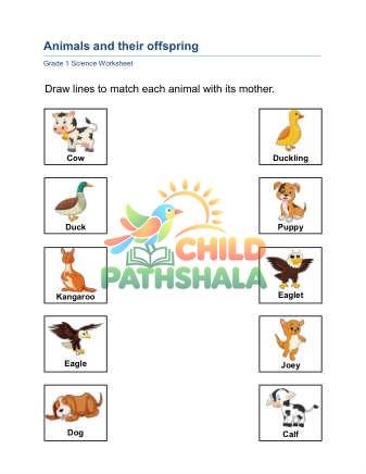 Preview of Animals Offspring A