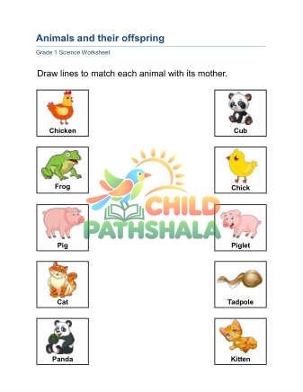 Preview of Animals Offspring B