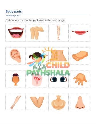 Preview of Body Parts Words A