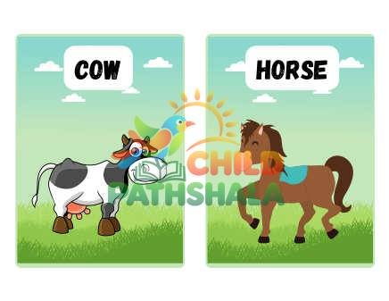 Preview of Farm Animals