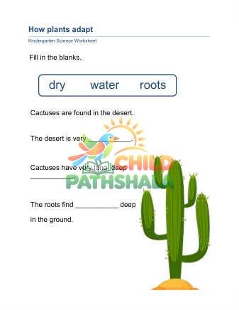 Preview of Plant Adaptation A