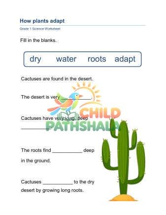 Preview of Plant Adaptations A