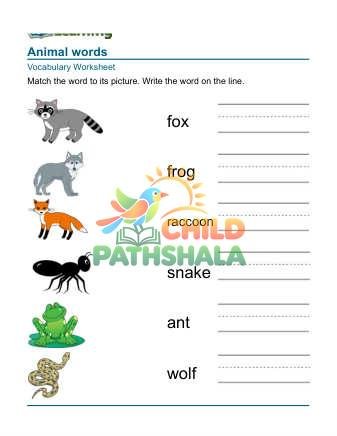 Preview of Practice Words Animals 6