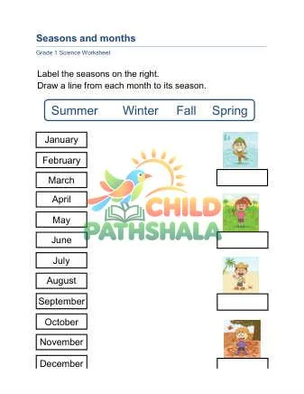 Preview of Seasons Months
