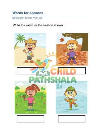 Preview of Seasons Words C