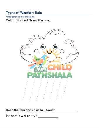Preview of Types Weather Conditions C