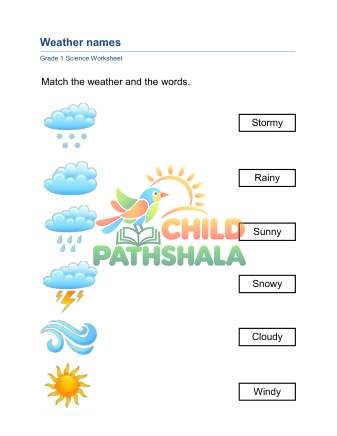 Preview of Weather Types A