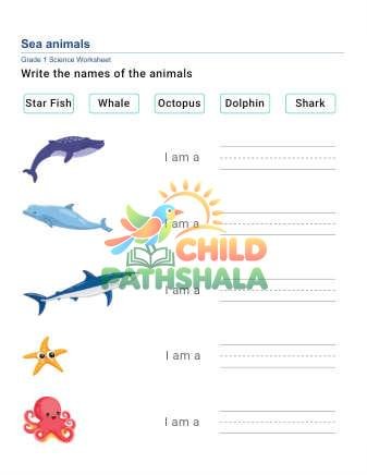 Write Animal Names A