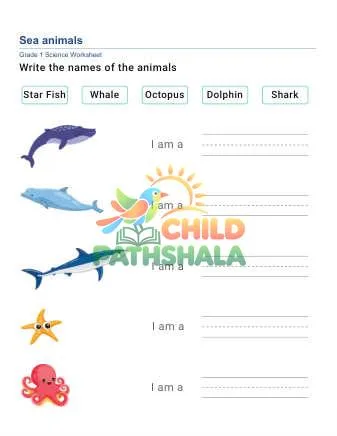 Preview of Write Animal Names