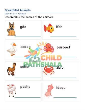 Write Animal Names C