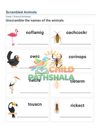 Write Animal Names D Worksheet for Grade 1