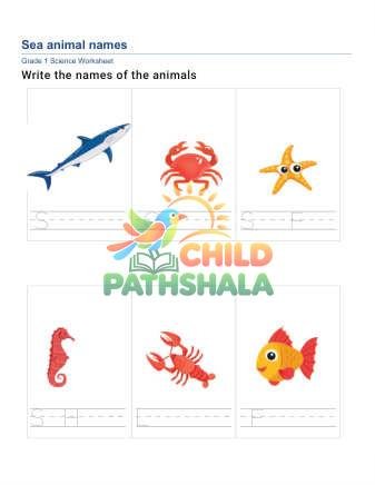 Write Animal Names E
