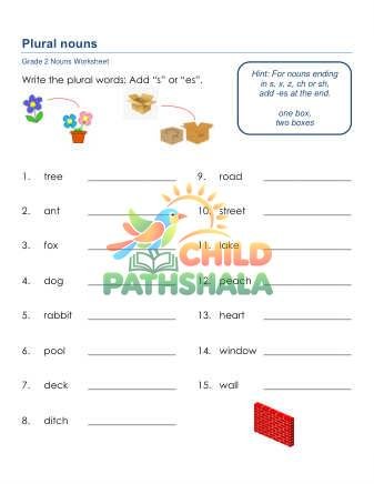 Plural Nouns B