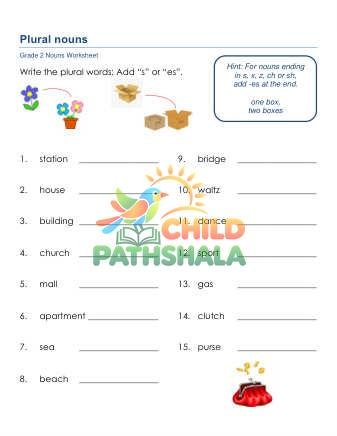 Plural Nouns C Worksheet for Grade 2