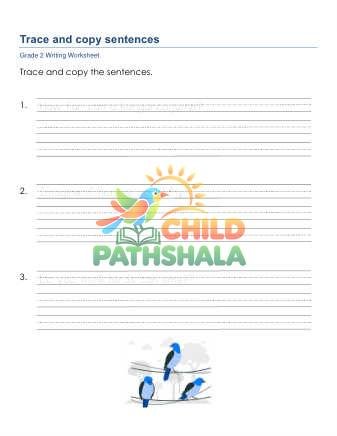 Trace Copy Sentences D Worksheet for Grade 2