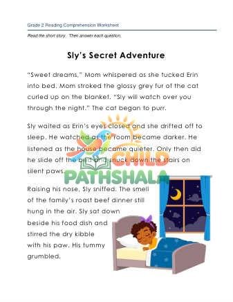 Preview of Story Sly Secret Adventure