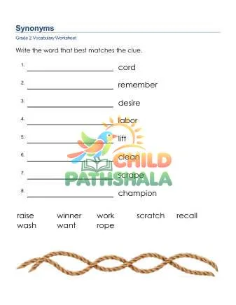 Preview of Synonyms