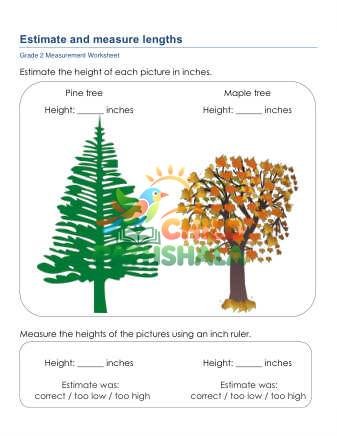 Measurement Estimating Length Inches A