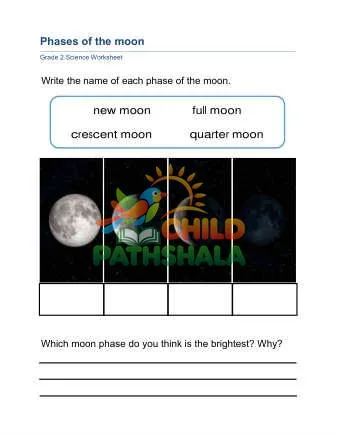 Preview of Phases Moon