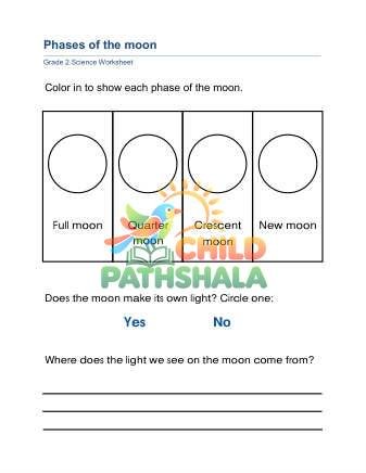 Preview of Phases Moon B