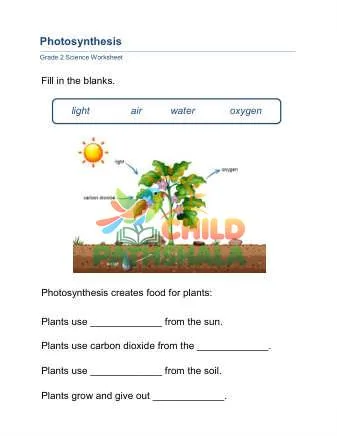 Preview of Photosynthesis